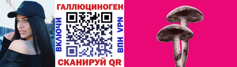 купить наркоту  Городец  Галлюциногенные грибы Magic Shrooms 